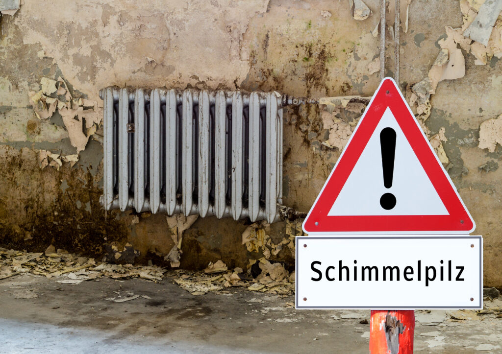 schimmelpilz vermeiden mit infrarotheizung